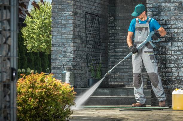 Animal Enclosure Cleaning in Rancho Palos Verdes, CA